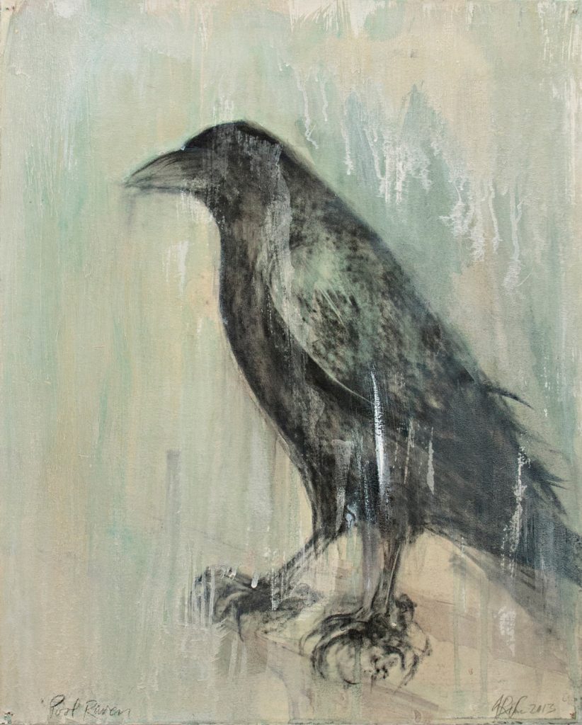 POOL RAVEN | 29253