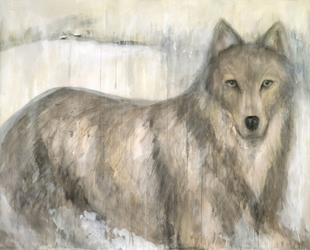 GREY WOLF | 30791