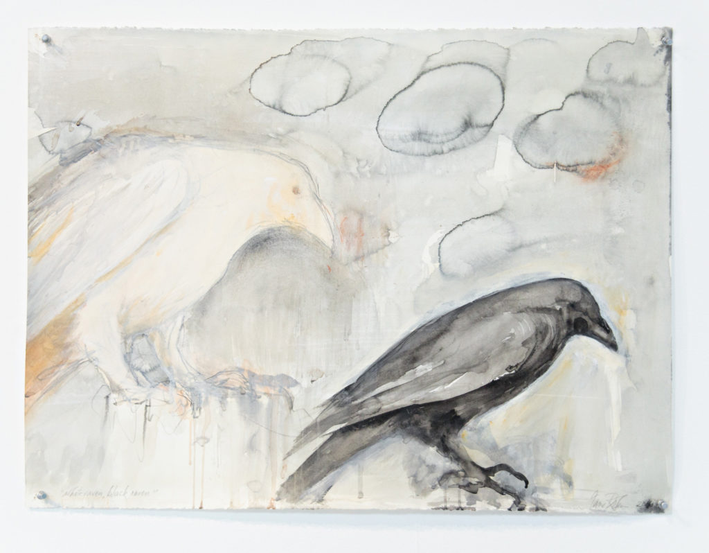 WHITE RAVEN BLACK RAVEN | 31895
