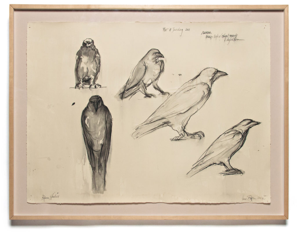 RAVEN GLASS BLOW STUDY | 31898