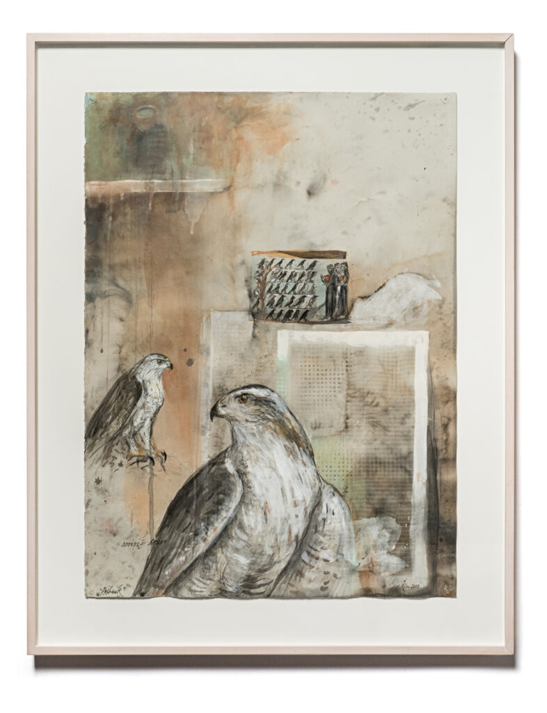 GOSHAWK (ST. FRANCIS) | 23600