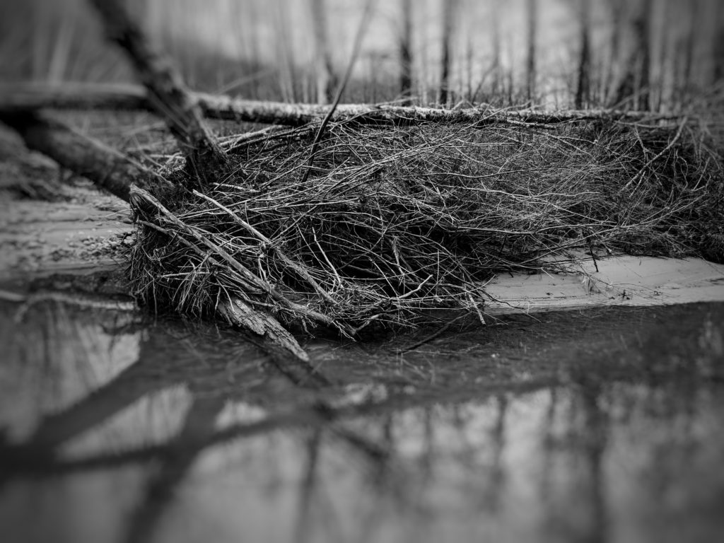 BRUSH PILE | 33053