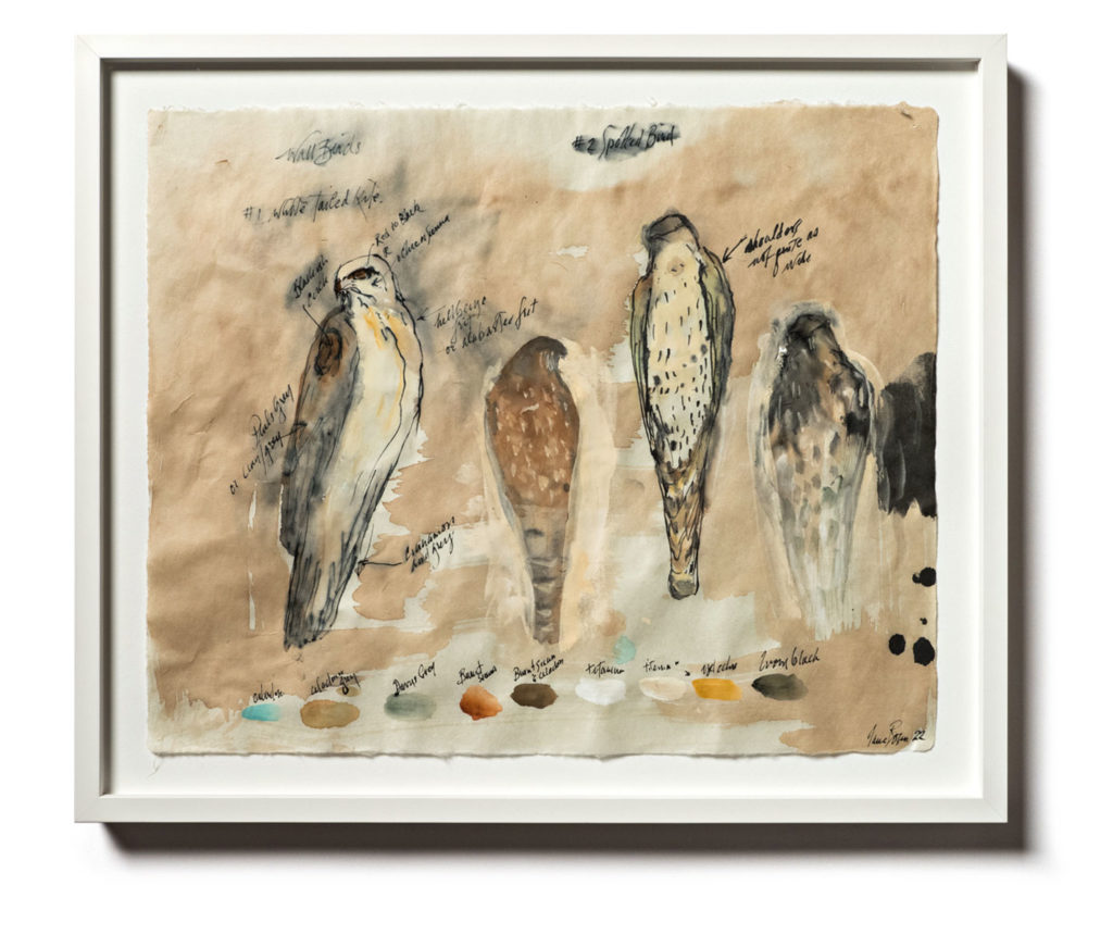 SPOTTED BIRD | 33244