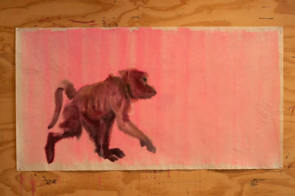 BABOON DRAWING | 33595