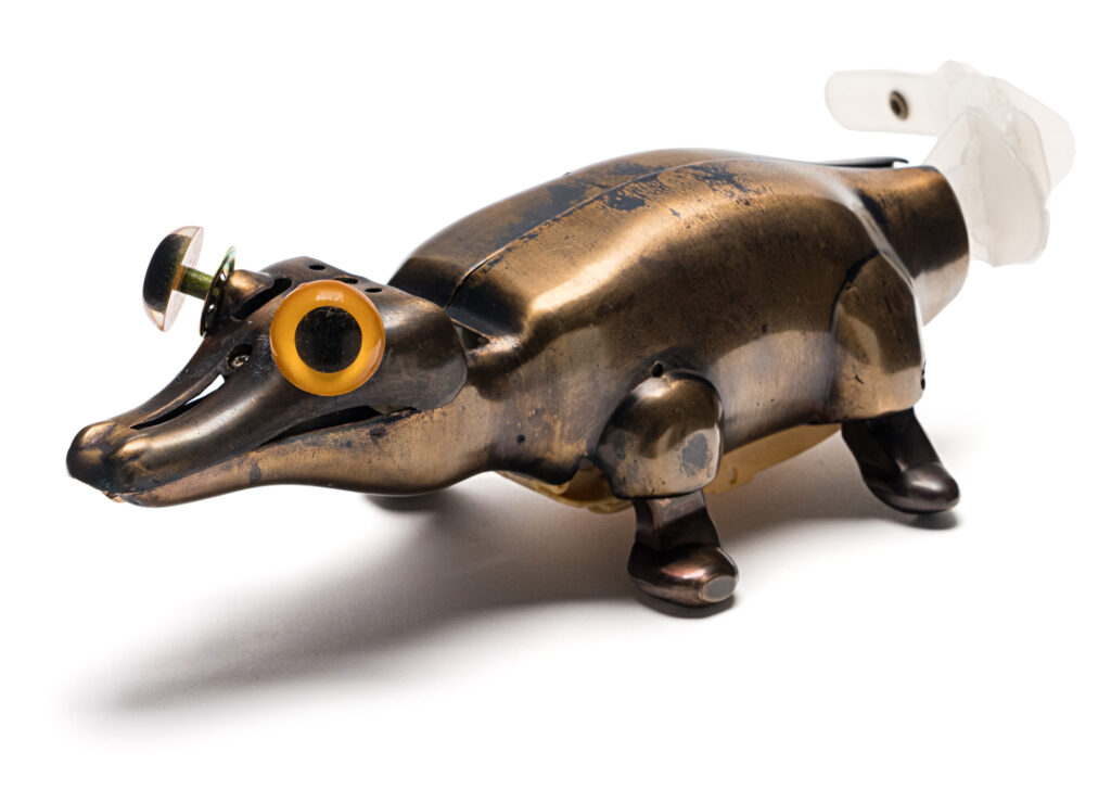 ALLIGATOR | 33955