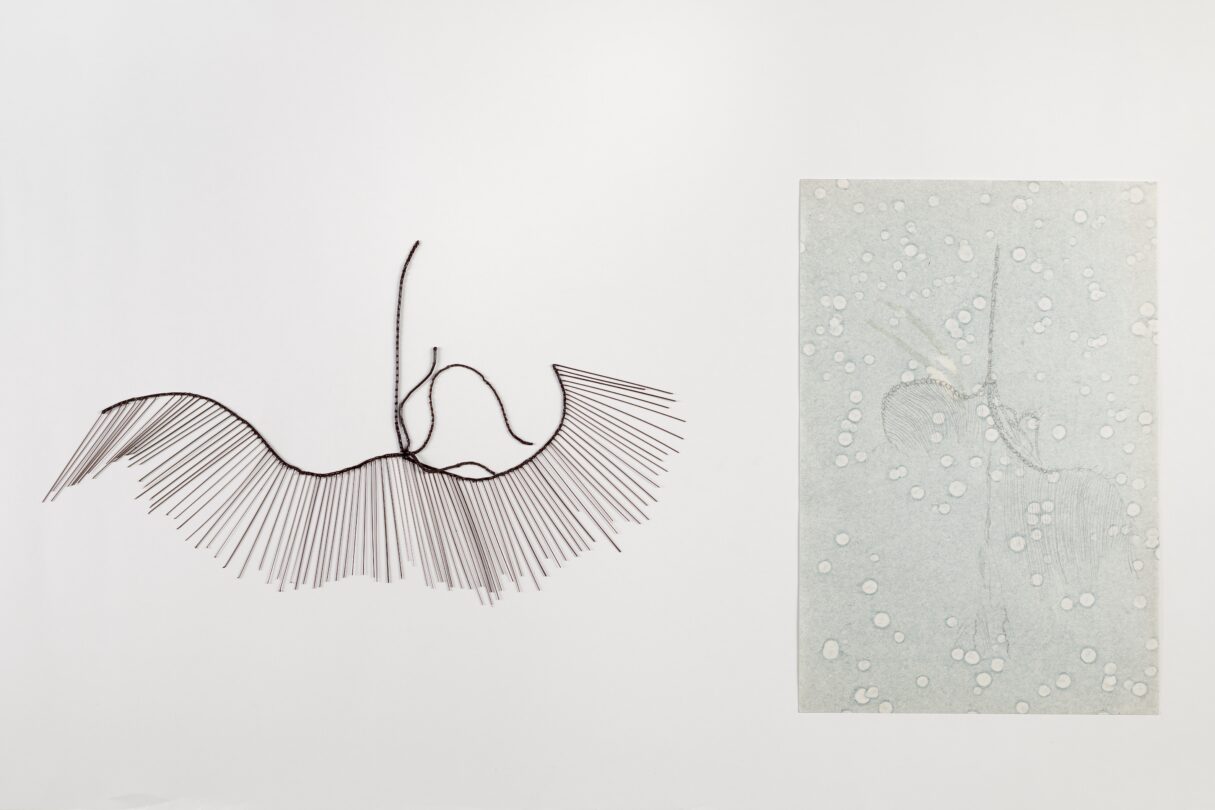 Dafna Kaffeman | FOSSILS | 34471