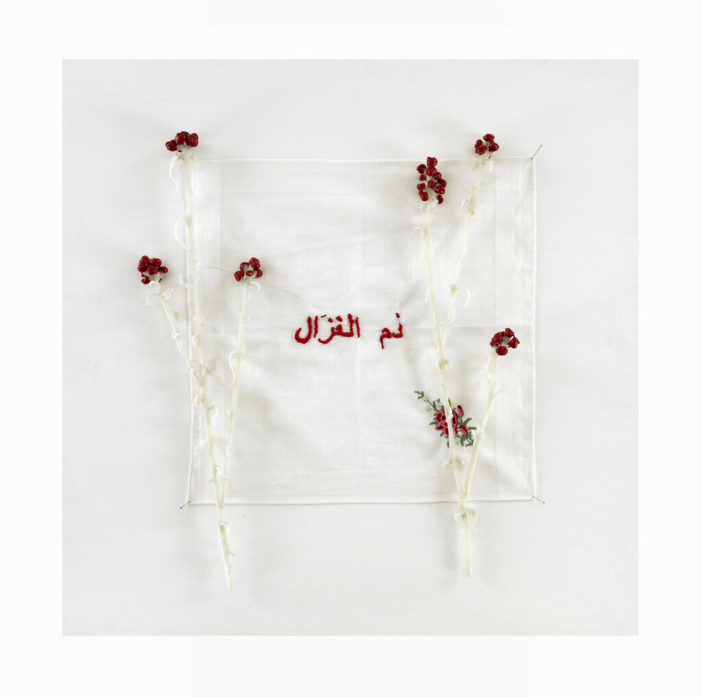 RED EVERLASTING  | 34551