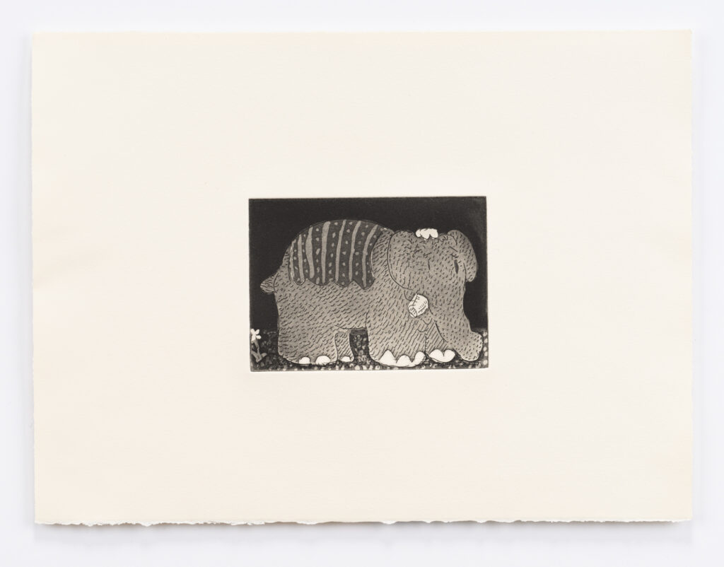 ELEFANT IN THE DARK | 34684