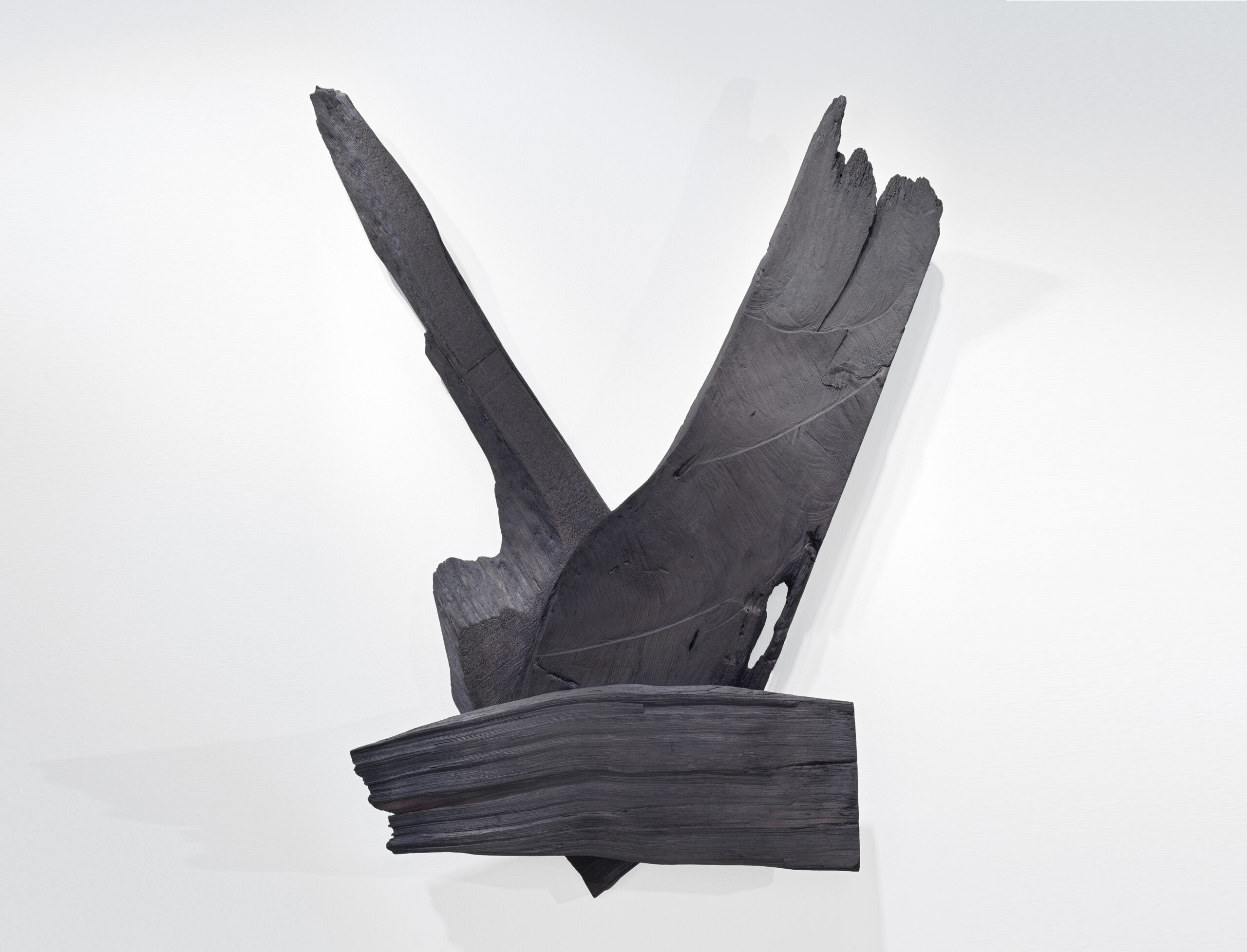 Exhibition: Parks Anderson | Black & Blue | Nov/Dec 24 - Traver Gallery