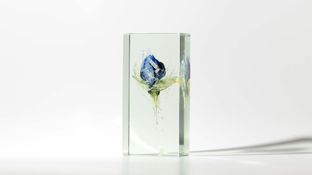 BLUE BULB | 34871