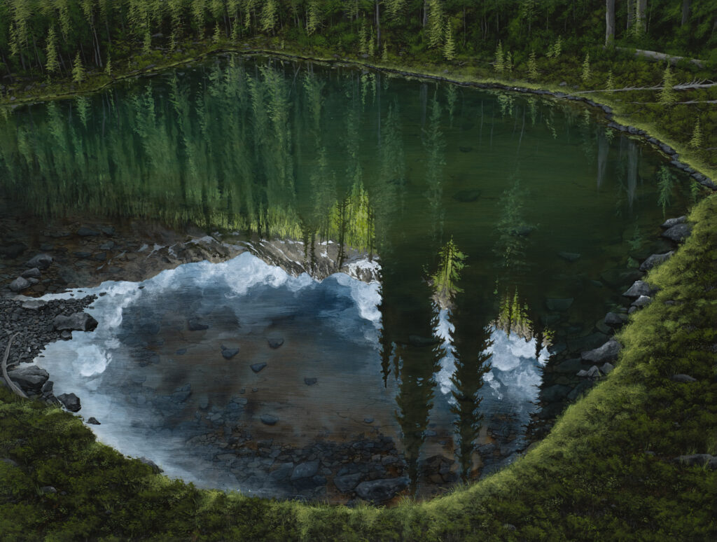 WELLSPRING  | 34913