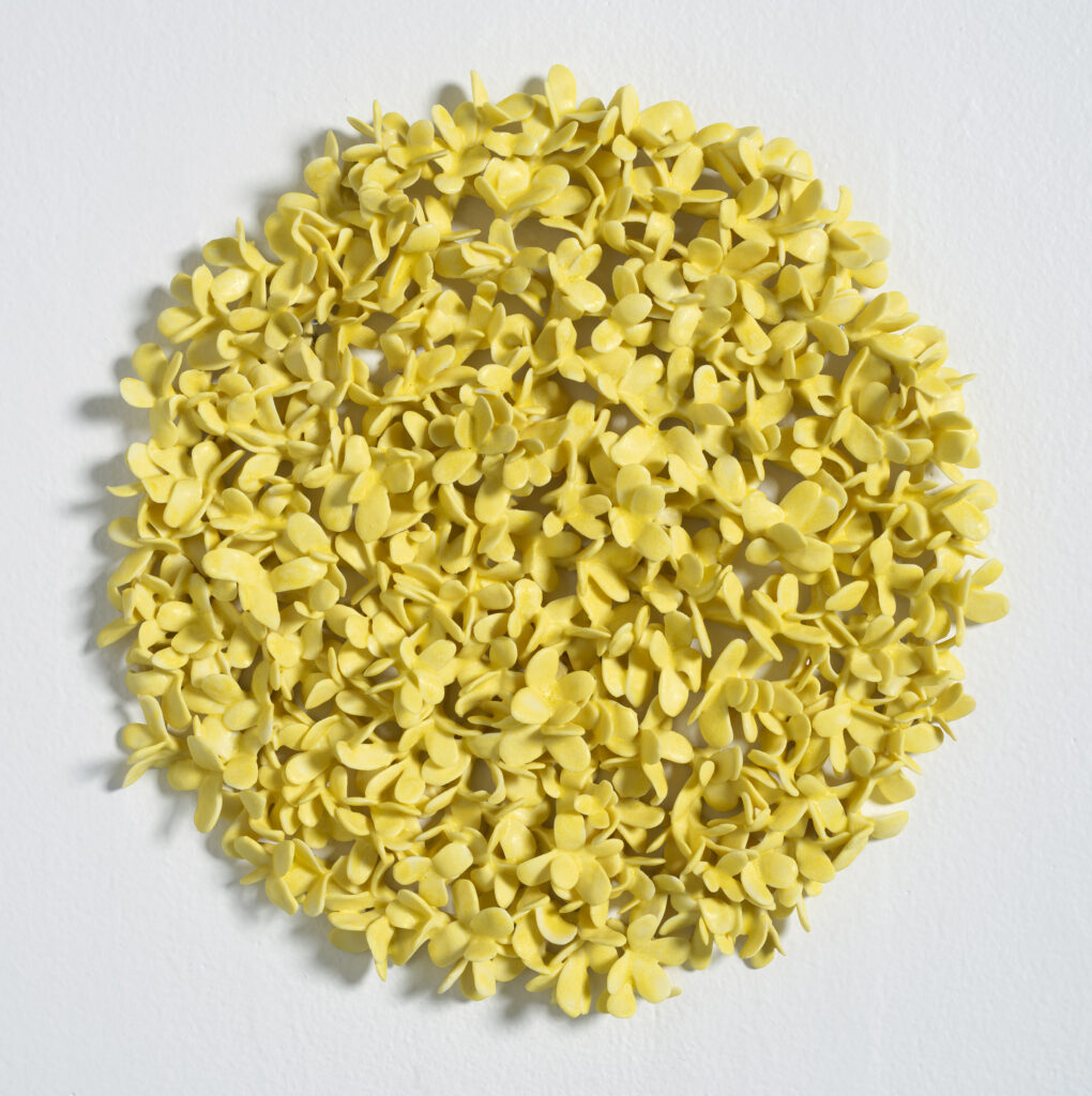 PLUMERIA (YELLOW) | 35044