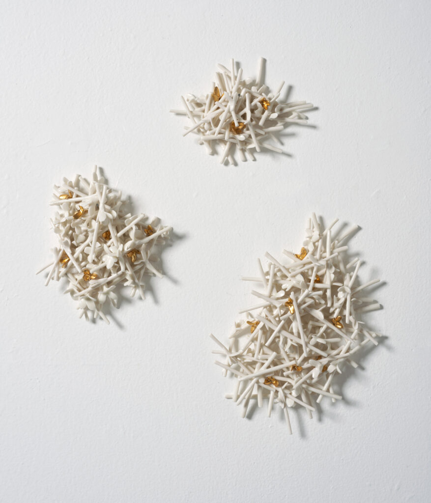 STICKS AND BLOOMS | 35039