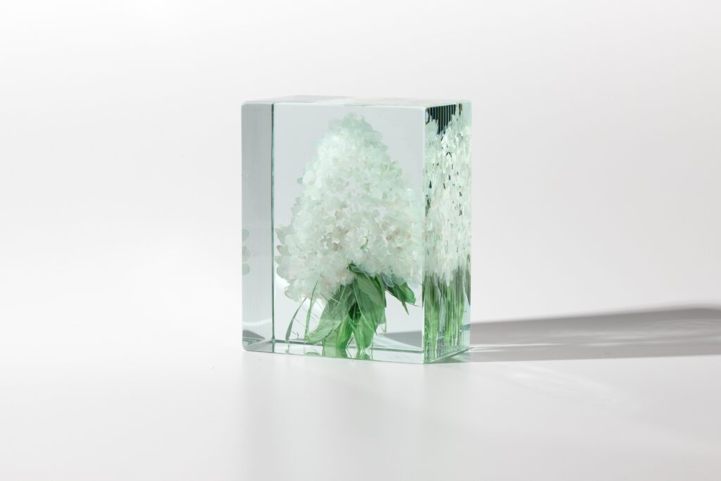 HYDRANGEA II  | 35113