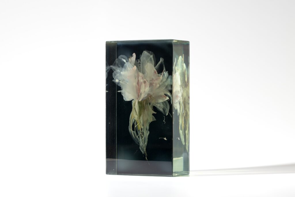 LUMINOUS MOTION  | 35121