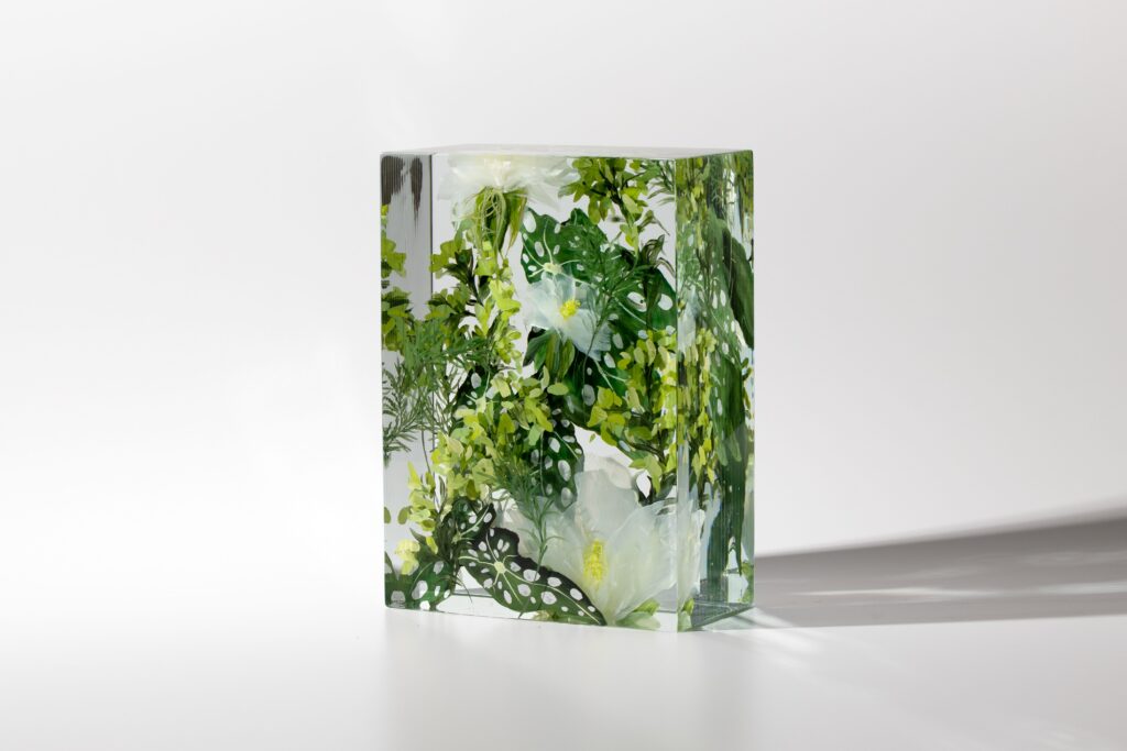 SPOTTED BEGONIA  | 35116