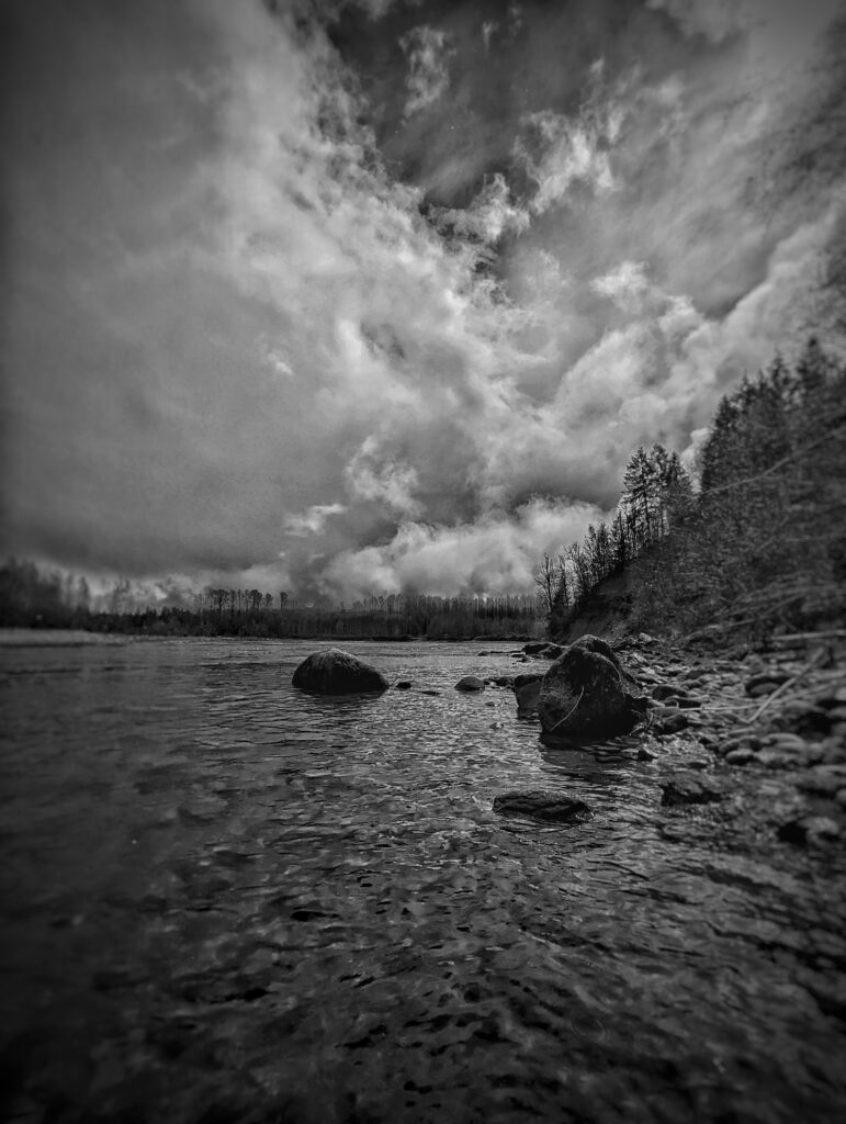 DRAGON'S TAIL | 35234