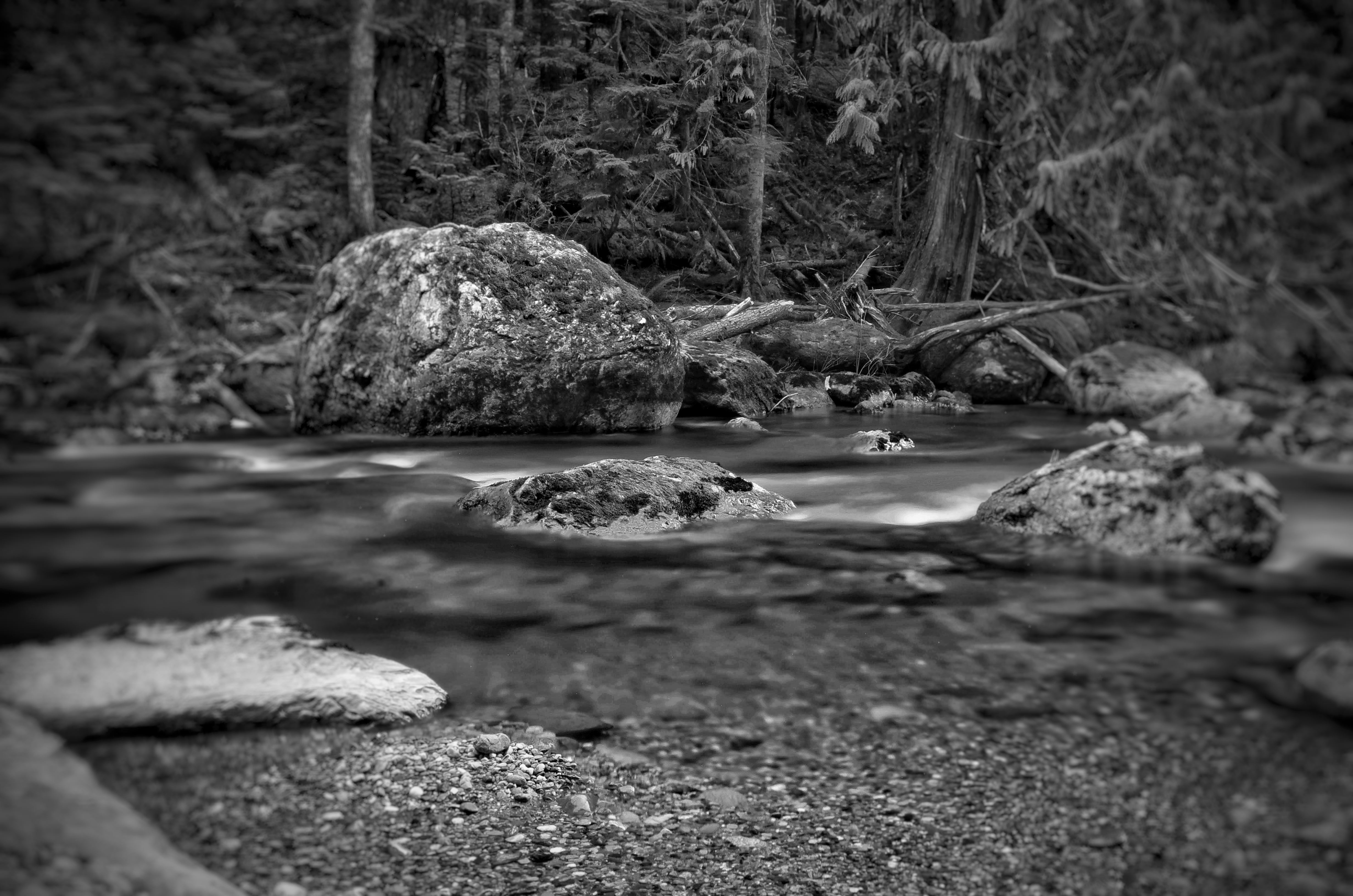 PILCHUCK CREEK I | 35238