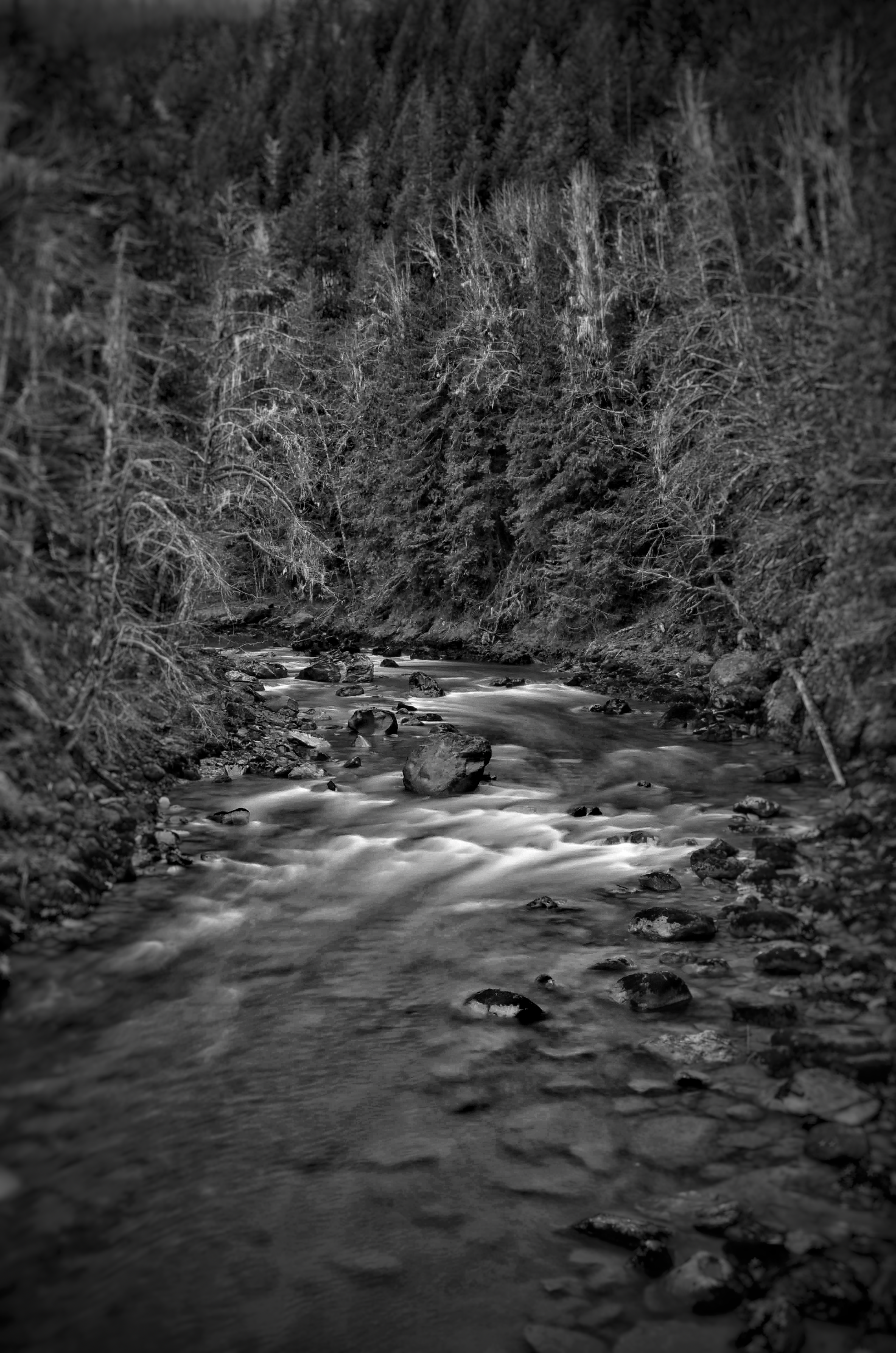 THE INFLUENCE | 35242