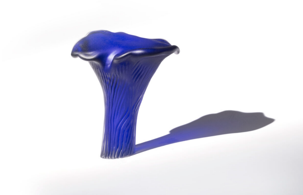 POLYOZELLUS: JOE'S WHITE WHALE  | 35299