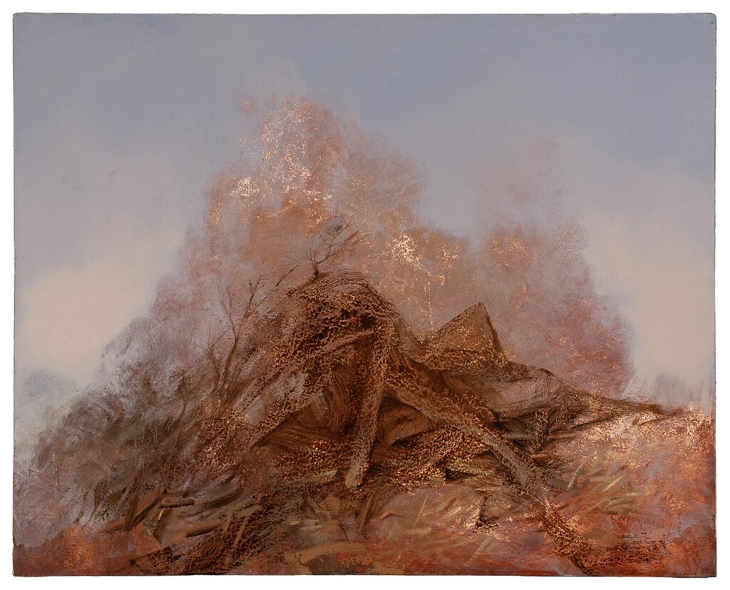 HIDDEN ONES REVEALED  | 35643