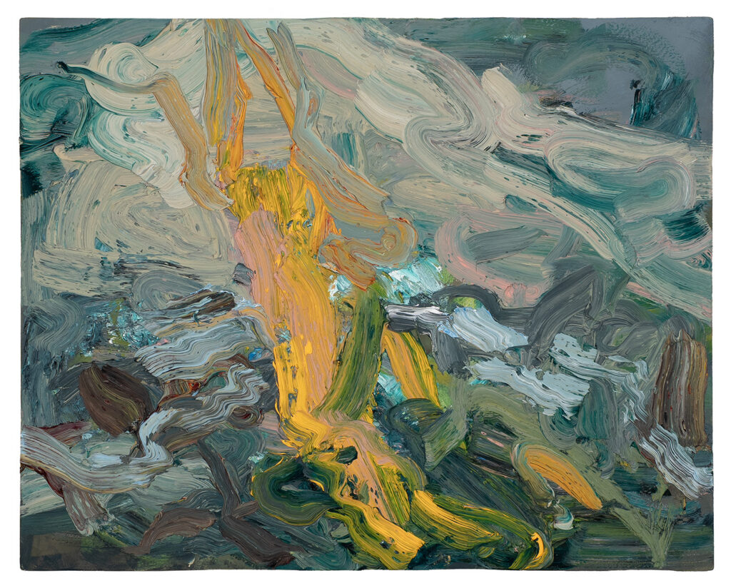 NEVERTHELESS SPRING  | 35639