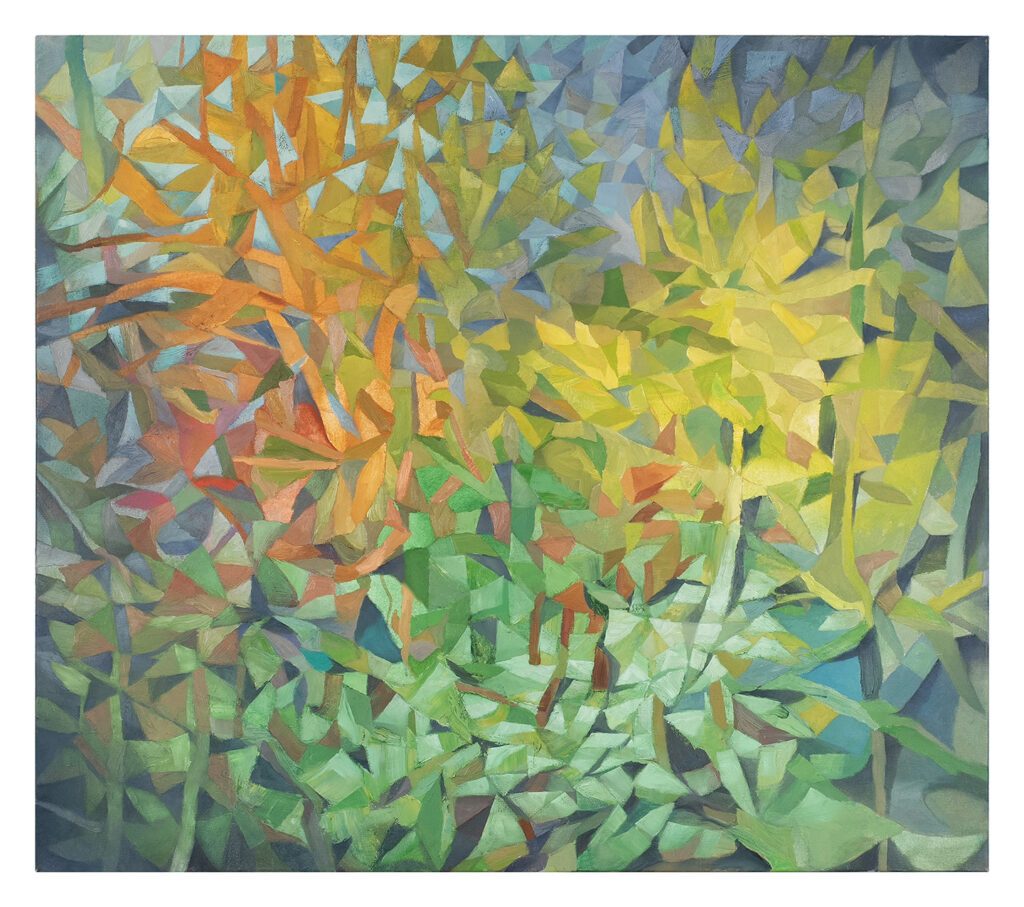 NEW FOUND LAND  | 35645