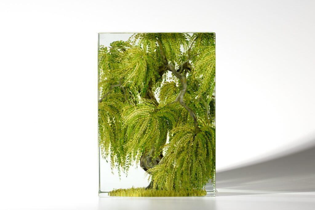 WILLOW TREE | 35842