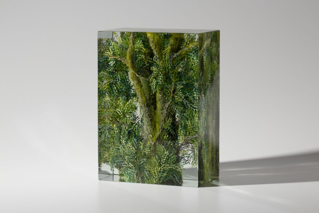 PALATINE COTTONWOOD | 35890